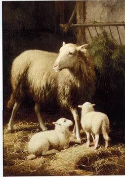 unknow artist Sheep 057 France oil painting art